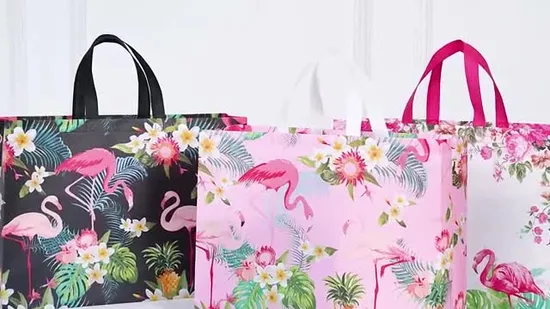 Promotional Custom PP Woven Bag with Zipper